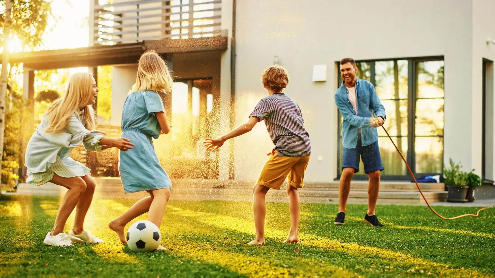 Professional mosquito control in New Hampshire