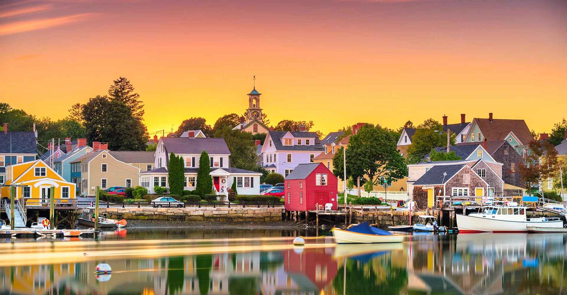 Professional tick control services in New Hampshire - yard treatment